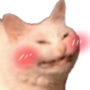 cattoblush Discord sticker - The Sports Garage🏆