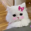 emoji_meizsareef Discord sticker - Arvelynx ™ | Social SFW
