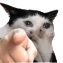 200_youuu Discord Emoji - Rabbit Hole