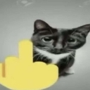 gatomalo custom emote | Roblox LatinoAmerica⭐