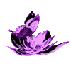 emoji_406 animated Discord emote from +995