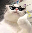 nihuswag Discord Emoji from ♡ Dhadkan || Chill・Social・Dating・Hindi・Fun・Active・VC
