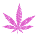 weedpink Discord sticker from Green Grounds Cafe 21+