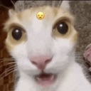 impactado custom emote | RNC Posting