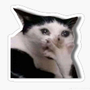 emoji_13 custom emote | ✧･ﾟ: ✧ 𝑺𝒕𝒂𝒓𝑬𝒏𝒕𝒆𝒓𝒏𝒂𝒍 ✧ :･ﾟ✧
