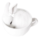 bunnyinamug custom emote | bunette Ი⑅𐑼