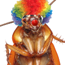 A cockroach wearing a rainbow clown wig and a red clown nose.