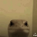 emoji_123 Discord Emoji - 𝕊ℙ𝔸ℂ𝔼