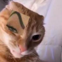 CatoSideEye custom emote - Besties Community