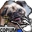 pugcopium Discord Emoji | Grumpsville