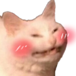 cattoblush Discord sticker - Makai 18+