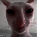 James Discord Emoji | Everyone's Server