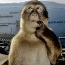 monkeythinking custom emote | COMMEZARS