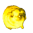 Partydog animated GIF emoji from Μ Λ Υ V Ι L L Ξ