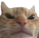 angrycat Discord sticker - ۶ৎ　‿　cemetery　 ݁ 　˖