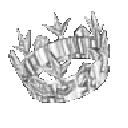 16919whitecrown animated Discord emote from Chicago tha Raq