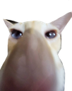 emoji4784 Discord sticker | the gaang