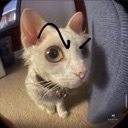 emoji_12 custom emote - ᏕᎻᏒᎬᏦ ᎷᎯᎠ ᎷᎯᎠ