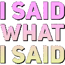 Text reading I SAID WHAT I SAID in a stacked, colorful, and bold block font.