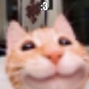 cathappy Discord Emoji | RIZZ HEAVEN | Chill • Hangout • VC • SFW • Events • Friends • Giveaways • Ask to DM • Non Dating