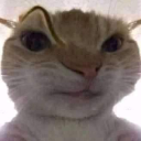 catsus custom emote from ATGs (All The Gamers)