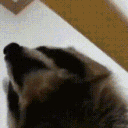youdied animated emote - Crossborn