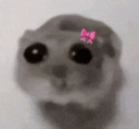 JustAGirliepop custom emote - Anime Empire