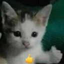 catkkk Discord Emoji | Crow AI #Renaissance