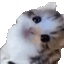 Ermm animated Discord emote - Lucid Love ☾  Relationship ⭑ Social ⭑ Gaming ☽