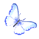 ButterflyIndigo2 animated GIF emoji | 𓆩❈𓆪 Sylvara Café 𓆩❈𓆪