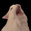 bagadbilla Discord Emoji | 𝖳𝗁𝖾 𝖲𝖺𝖿𝖾𝗁𝗈𝗎𝗌𝖾™ | 𝖲𝗈𝖼𝗂𝖺𝗅𝗂𝗓𝖾⭒𝖢𝗁𝗂𝗅𝗅⭒𝖵𝖼 ⭒ 𝗀𝖺𝗆𝗂𝗇𝗀
