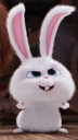 Snowball the white rabbit looking at the camera with a smug and mischievous expression.