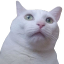 R_wtf Discord sticker | Prod. By | Music Production
