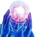 BigBrain Discord sticker | Absolute Fansub