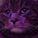 believe Discord Emoji - 𝔗𝔥𝔢 𝚨𝖇𝖘𝖚𝖗𝖉𝖎𝖘𝖙𝖘 ™