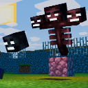 witherskull custom emote | Voice Chat Games | Minecraft Livestreams & Events