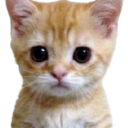 emoji_22 custom emote from # ` 𝗚𝗮𝗺𝗘 𝗢𝘃𝗲𝗥 𝗠𝗖