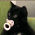 Cat_baby animated GIF emoji - ۶ৎ　‿　cemetery　 ݁ 　˖