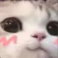 Screenshot20260413211229 Discord sticker - Vandox_YT