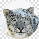 snowleopard custom emote | La galaxia de Luis