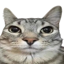 emoji_36 custom emote - 𝑨𝑫𝑽𝑰𝑳