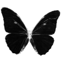 056_blackbutterfly Discord sticker | Rabbit Hole