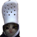 A sad, crying cat face wearing a white Croc shoe like a hat.