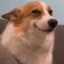 emoji_14 custom emote | ⧖ ✮ 𝒁𝒀𝑹𝑶𝑵・𝑴𝑪 ✮ ⧖