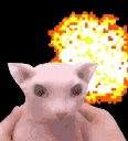 Bangus animated GIF emoji | BUNKER 605