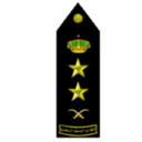 T5 custom emote from صيانه