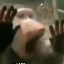 A monkey pressing its face and hands against a glass pane with a shocked expression.