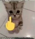 CutFuckYou Discord sticker - HaniCraft Community