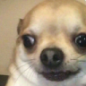 crazy custom emote | FAAAHHHH
