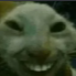 Screenshot20260413203615 Discord Emoji | Vandox_YT